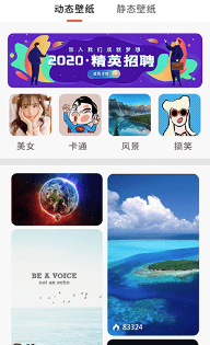 壁纸主题精选app