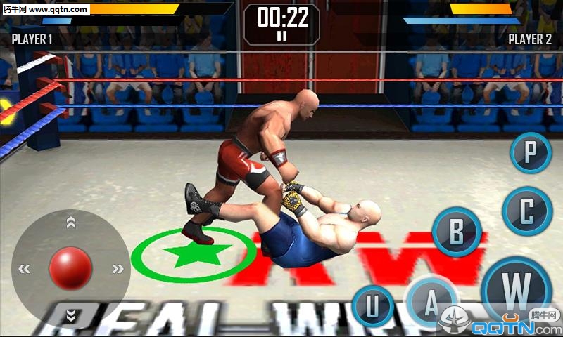 真实摔跤游戏下载Real Wrestling 3D