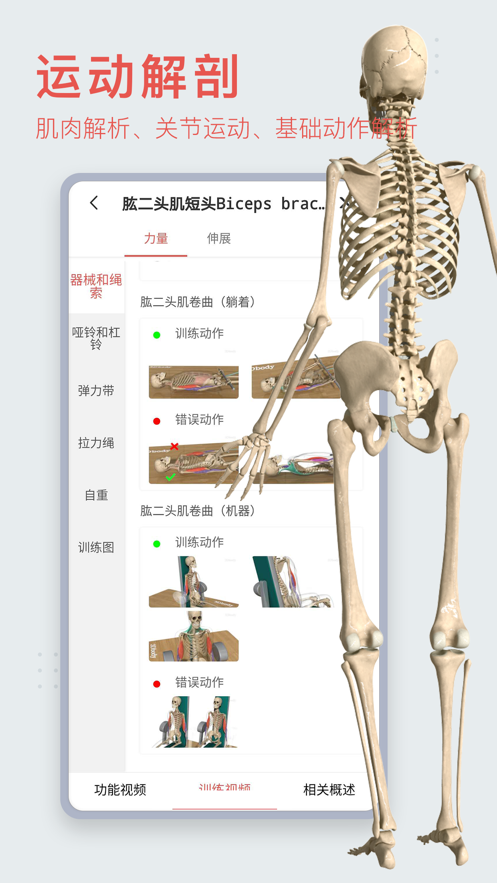 3Dbody解剖app