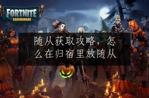 随从获取攻略，怎么在归宿里放随从