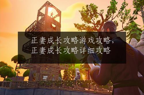 正妻成长攻略游戏攻略，正妻成长攻略详细攻略