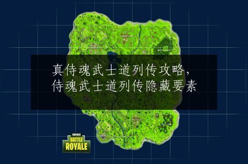 真侍魂武士道列传攻略，侍魂武士道列传隐藏要素