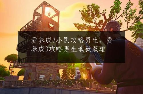 爱养成3小黑攻略男生，爱养成3攻略男生地狱双雄