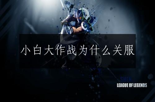 小白大作战为什么关服