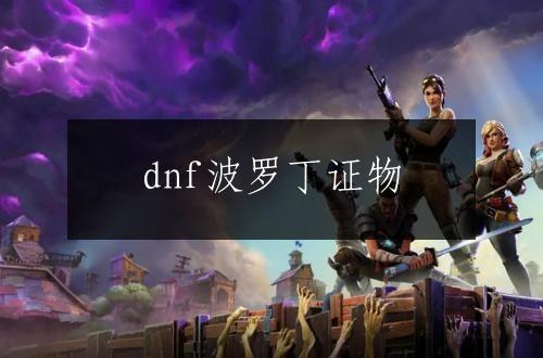 dnf波罗丁证物