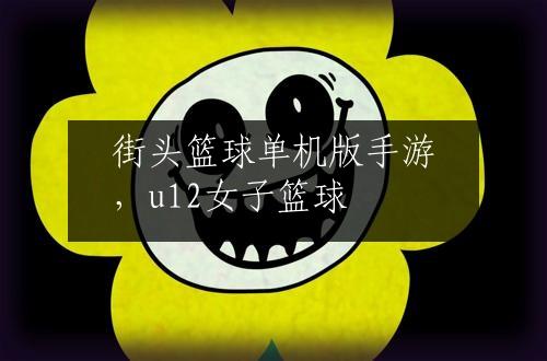 街头篮球单机版手游，u12女子篮球