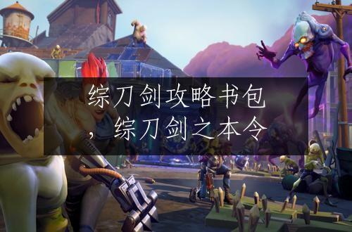 综刀剑攻略书包，综刀剑之本令