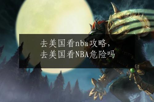 去美国看nba攻略，去美国看NBA危险吗
