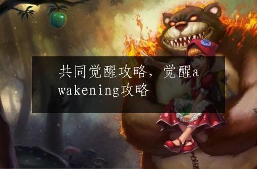 共同觉醒攻略，觉醒awakening攻略